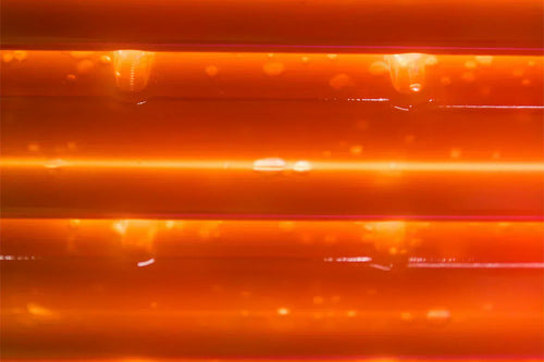 Pilier Longévité : l'Énergie Cellulaire