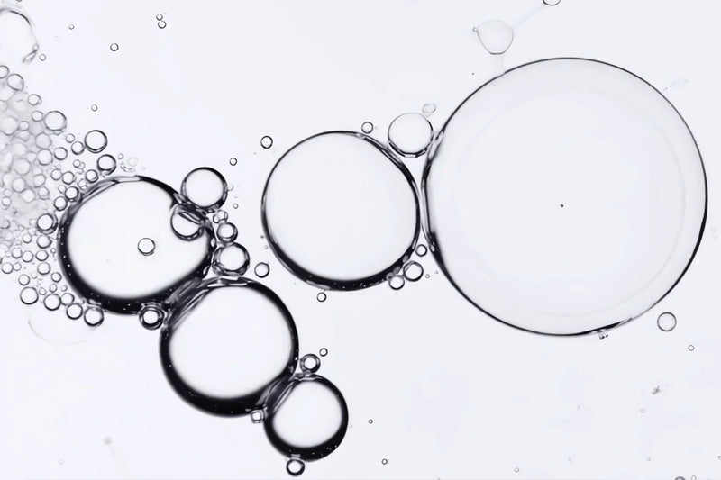 Pilier Longévité : L'Équilibre Neuro-Émotionnel